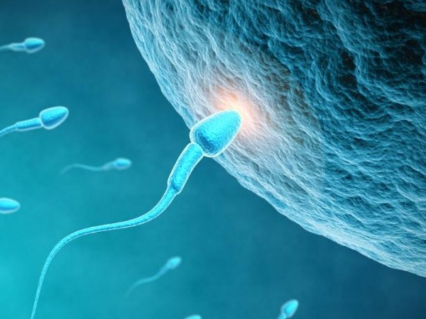 胎停性染色体异常_染色体异常的胎停,卵巢早衰怎么治疗，卵巢早衰可以做供卵