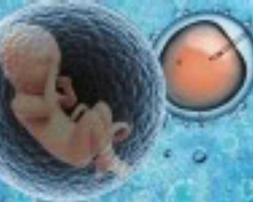 青岛协和医院生殖中心试管冻囊胚移植成功率高吗？