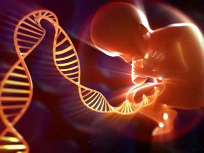 生化染色体异常_子宫切除怀孕就好_武汉助孕试管婴儿胎停几率低，那么一般胎